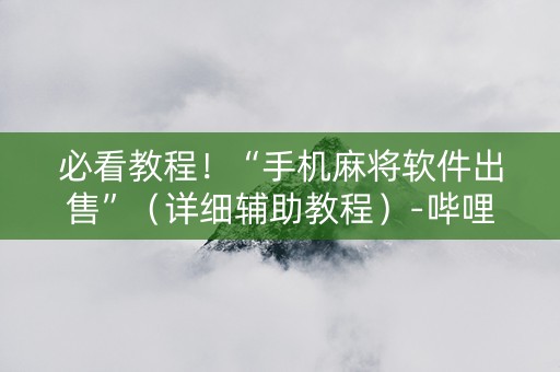 必看教程！“手机麻将软件出售”（详细辅助教程）-哔哩哔哩