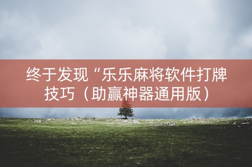 终于发现“乐乐麻将软件打牌技巧（助赢神器通用版）