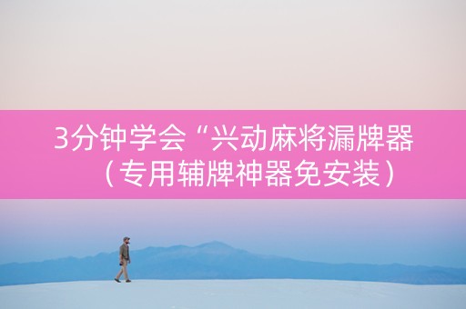 3分钟学会“兴动麻将漏牌器（专用辅牌神器免安装）