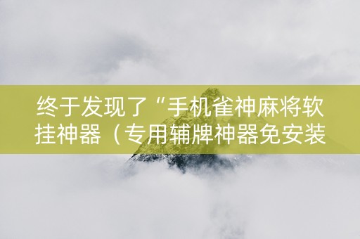 终于发现了“手机雀神麻将软挂神器（专用辅牌神器免安装）