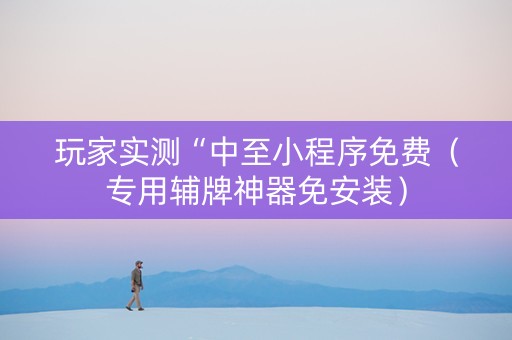 玩家实测“中至小程序免费（专用辅牌神器免安装）