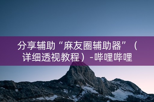 分享辅助“麻友圈辅助器”（详细透视教程）-哔哩哔哩