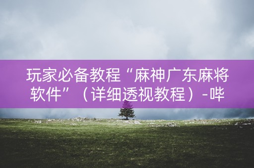 玩家必备教程“麻神广东麻将软件”（详细透视教程）-哔哩哔哩