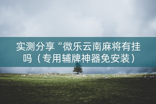 实测分享“微乐云南麻将有挂吗（专用辅牌神器免安装）