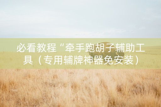 必看教程“牵手跑胡子辅助工具（专用辅牌神器免安装）