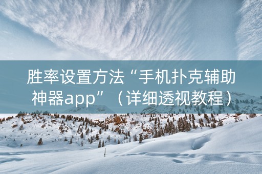胜率设置方法“手机扑克辅助神器app”（详细透视教程）-哔哩哔哩