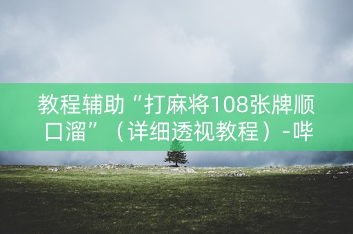 教程辅助“打麻将108张牌顺口溜”（详细透视教程）-哔哩哔哩