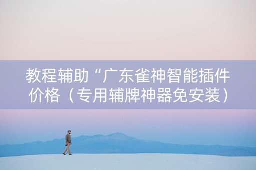 教程辅助“广东雀神智能插件价格（专用辅牌神器免安装）