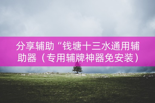 分享辅助“钱塘十三水通用辅助器（专用辅牌神器免安装）