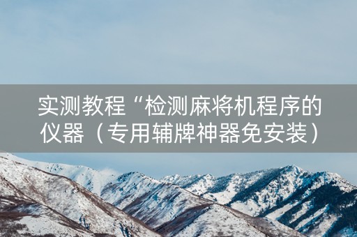 实测教程“检测麻将机程序的仪器（专用辅牌神器免安装）