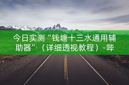 今日实测“钱塘十三水通用辅助器”（详细透视教程）-哔哩哔哩