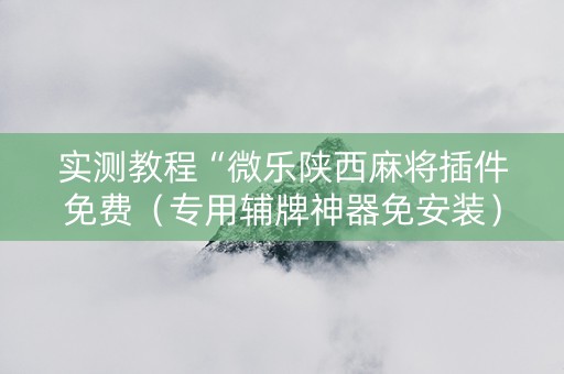 实测教程“微乐陕西麻将插件免费（专用辅牌神器免安装）