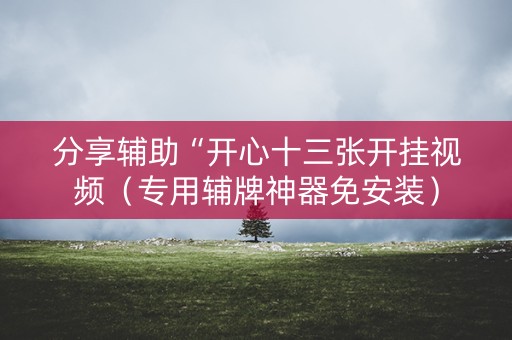分享辅助“开心十三张开挂视频（专用辅牌神器免安装）