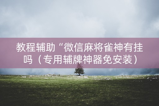 教程辅助“微信麻将雀神有挂吗（专用辅牌神器免安装）