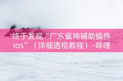 终于发现“广东雀神辅助插件ios”（详细透视教程）-哔哩哔哩