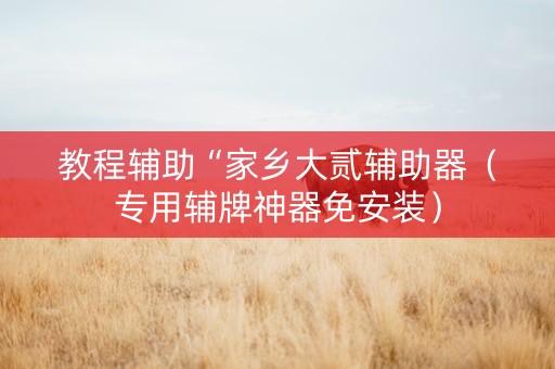 教程辅助“家乡大贰辅助器（专用辅牌神器免安装）