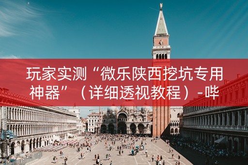 玩家实测“微乐陕西挖坑专用神器”（详细透视教程）-哔哩哔哩