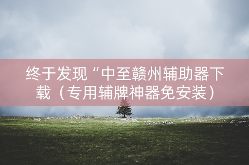 终于发现“中至赣州辅助器下载（专用辅牌神器免安装）