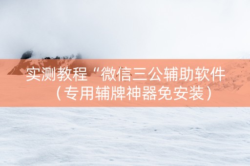 实测教程“微信三公辅助软件（专用辅牌神器免安装）