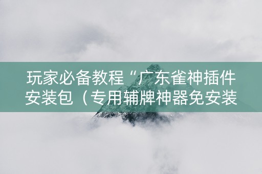 详细阅读:玩家必备教程“广东雀神插件安装包(专用辅牌神器免安装) 玩家必备教程“广东雀神插件安装包(专用辅牌神器免安装)