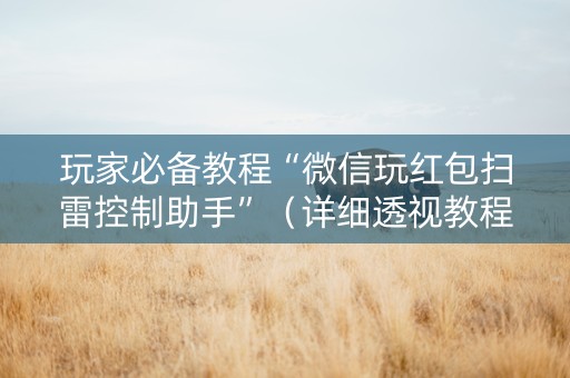 玩家必备教程“微信玩红包扫雷控制助手”（详细透视教程）-哔哩哔哩