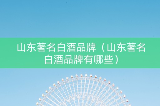 山东著名白酒品牌（山东著名白酒品牌有哪些）