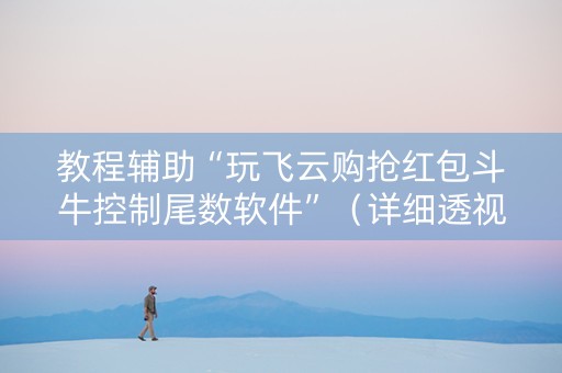 教程辅助“玩飞云购抢红包斗牛控制尾数软件”（详细透视教程）-哔哩哔哩