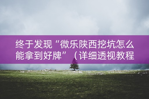 终于发现“微乐陕西挖坑怎么能拿到好牌”（详细透视教程）-哔哩哔哩