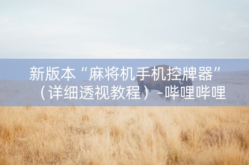 新版本“麻将机手机控牌器”（详细透视教程）-哔哩哔哩