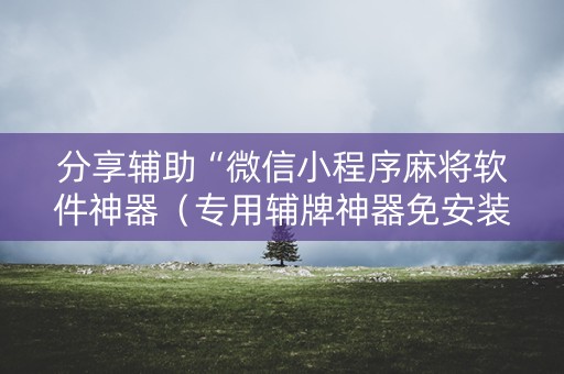 分享辅助“微信小程序麻将软件神器（专用辅牌神器免安装）
