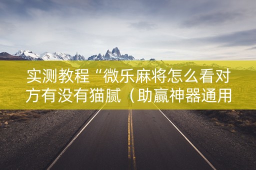 实测教程“微乐麻将怎么看对方有没有猫腻（助赢神器通用版）