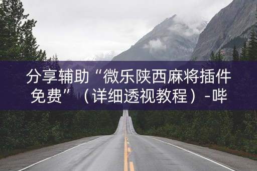 分享辅助“微乐陕西麻将插件免费”（详细透视教程）-哔哩哔哩