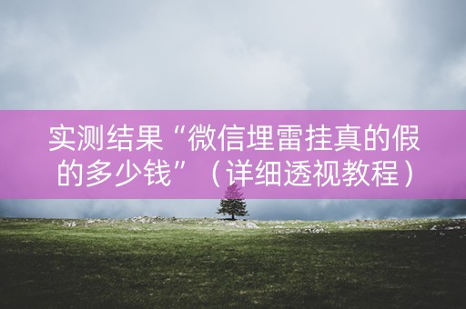 实测结果“微信埋雷挂真的假的多少钱”（详细透视教程）-哔哩哔哩