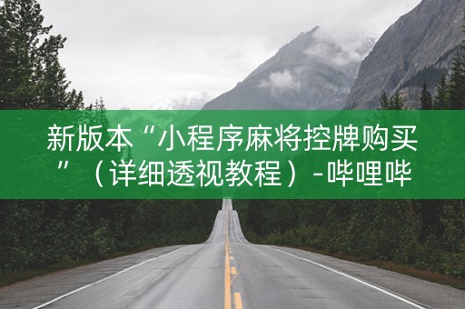 新版本“小程序麻将控牌购买”（详细透视教程）-哔哩哔哩