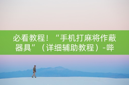 必看教程！“手机打麻将作蔽器具”（详细辅助教程）-哔哩哔哩