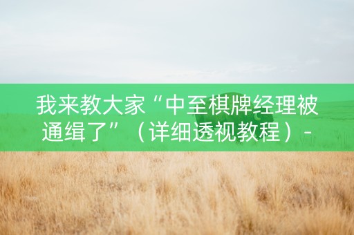 我来教大家“中至棋牌经理被通缉了”（详细透视教程）-哔哩哔哩