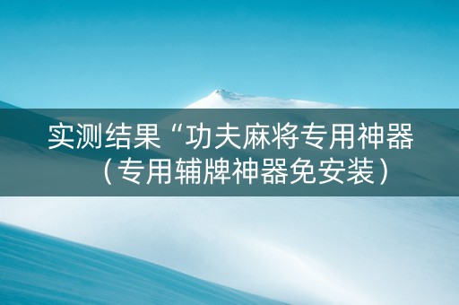实测结果“功夫麻将专用神器（专用辅牌神器免安装）