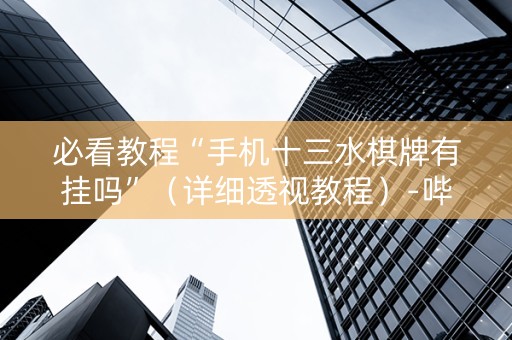 必看教程“手机十三水棋牌有挂吗”（详细透视教程）-哔哩哔哩