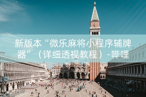 新版本“微乐麻将小程序辅牌器”（详细透视教程）-哔哩哔哩