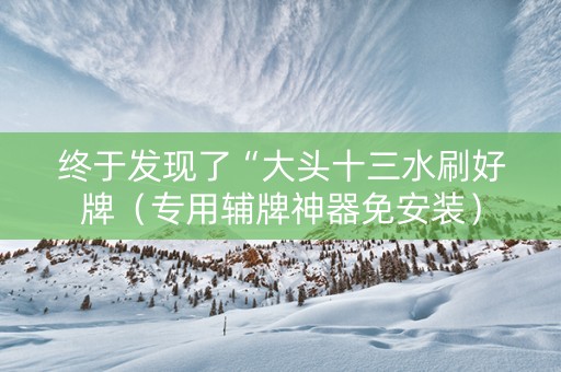 终于发现了“大头十三水刷好牌（专用辅牌神器免安装）