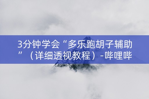 3分钟学会“多乐跑胡子辅助”（详细透视教程）-哔哩哔哩