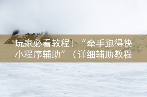 玩家必看教程！“牵手跑得快小程序辅助”（详细辅助教程）-哔哩哔哩