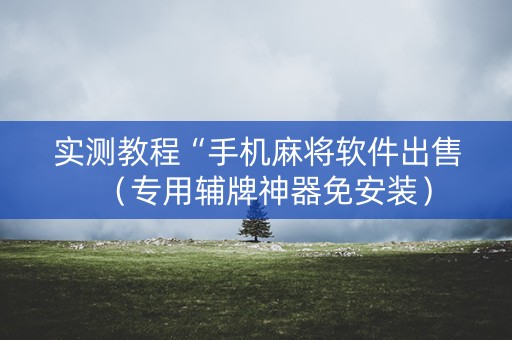 实测教程“手机麻将软件出售（专用辅牌神器免安装）