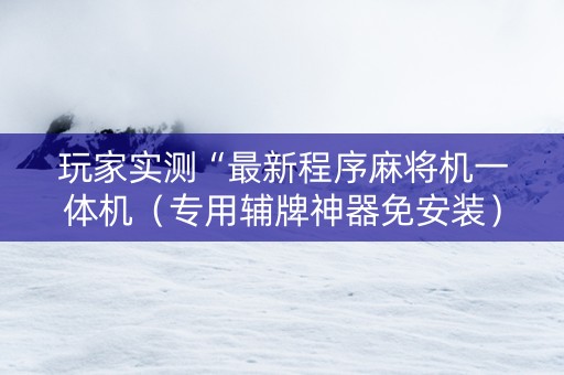 玩家实测“最新程序麻将机一体机（专用辅牌神器免安装）