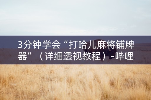 3分钟学会“打哈儿麻将铺牌器”（详细透视教程）-哔哩哔哩
