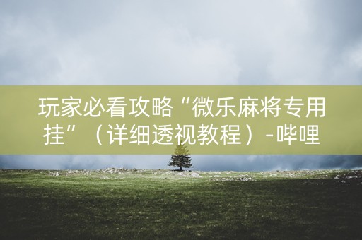 玩家必看攻略“微乐麻将专用挂”（详细透视教程）-哔哩哔哩