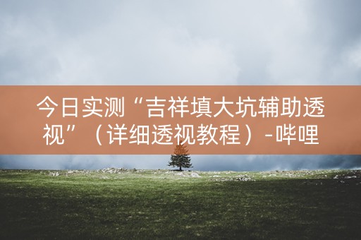 今日实测“吉祥填大坑辅助透视”（详细透视教程）-哔哩哔哩