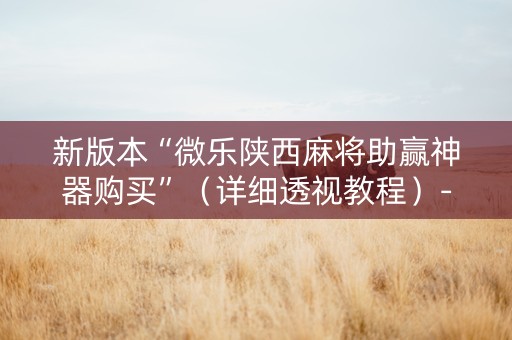 新版本“微乐陕西麻将助赢神器购买”（详细透视教程）-哔哩哔哩