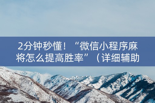 2分钟秒懂！“微信小程序麻将怎么提高胜率”（详细辅助教程）-哔哩哔哩