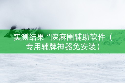 实测结果“陕麻圈辅助软件（专用辅牌神器免安装）